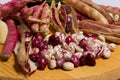 the borlotti beans have innumerable properties, they lend themselves to various recipes in the kitchen