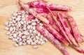 Borlotti beans Royalty Free Stock Photo