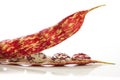 Borlotti beans in the pod Royalty Free Stock Photo