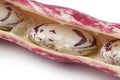 Borlotti beans in the shell