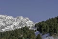 Bormio, Italy - January 31, 2005: Ski slope in Bormio between tr Royalty Free Stock Photo