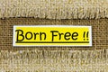 Born free lifestyle freedom choice free spirit hippie nomad Royalty Free Stock Photo