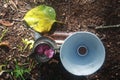 Born with a silver cup in handÃ¢âÂª leaf Bougainvillea flower peddles a tin reflector rest on a measuring scale