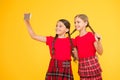 Born to be internet superstar. Girls take selfie smartphone. Take perfect photo. Girls just want to have fun