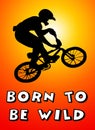 Born to be wild Royalty Free Stock Photo