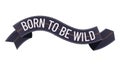 Born to be Wild. The inscription on the vector highway. Illustration art of lettering for print on a t-shirt or motorcycle