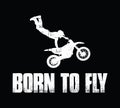 Born to fly. Royalty Free Stock Photo