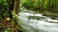 Borneo rain forest stream fall Royalty Free Stock Photo