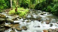 Borneo rain forest stream fall Royalty Free Stock Photo