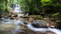 Borneo Tropical Rain Forest Royalty Free Stock Photo