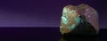 Bornite is a rare precious natural stone on a black background. AI generated. Header banner mockup with space. Royalty Free Stock Photo