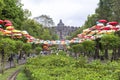 Borobudur Heritage in Yogyakarta, Indonesia