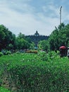 Borobudur Tample