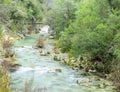 Borosa river Royalty Free Stock Photo