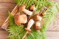 Borovik mushrooms on a wooden board. top view. rustic style