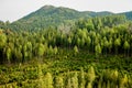 View on the highest peak in the national park Slovak Paradise, Borovniak, Slovakia Royalty Free Stock Photo