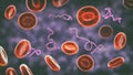 Borrelia bacteria in blood Royalty Free Stock Photo