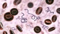 Borrelia bacteria in blood Royalty Free Stock Photo