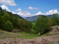 Borrowdale valley, Lake District Royalty Free Stock Photo