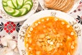 Borsch, black bread, vodka Royalty Free Stock Photo