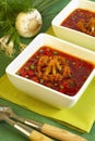 Borsch soup Royalty Free Stock Photo