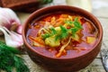 Borsch. Traditional Ukrainian vegetable soup Royalty Free Stock Photo