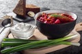 Borsch. Ukrainian soup. The red soup. Borscht with sour cream and onions, rye garlic bread. Royalty Free Stock Photo