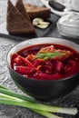 Borsch. Ukrainian soup. The red soup. Borscht with sour cream and onions, rye garlic bread. Royalty Free Stock Photo