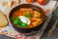 Borscht home Russian, Ukrainian and Polish national soup - red beetroot, vegetables and meat with sour cream on a gray Royalty Free Stock Photo