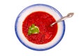 Borscht soup Royalty Free Stock Photo