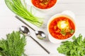 Borscht with sour cream and herbs on a white wooden background Royalty Free Stock Photo