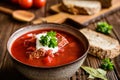 Borscht - traditional Ukraine soup