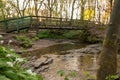 Borsdane Woods Local Nature Reserve, near Hindley, Wigan in Greater Manchester photographed early in the morning Royalty Free Stock Photo