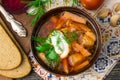 Borshch is a home-made Russian, Ukrainian and Polish national soup - red beetroot, vegetables and meat with sour cream Royalty Free Stock Photo