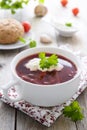 Borshch - russian beetroot soup Royalty Free Stock Photo