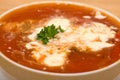 Borshch, traditional Russian and Ukrainian soup Royalty Free Stock Photo