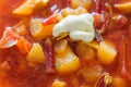 Borshch, traditional Russian and Ukrainian soup. Royalty Free Stock Photo