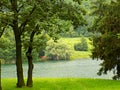 Borsko jezero Royalty Free Stock Photo