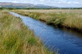 Borth Bog Nature Reserve in Wales, UK Royalty Free Stock Photo