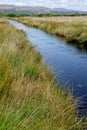 Borth Bog Nature Reserve in Wales, UK Royalty Free Stock Photo