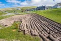 Potato Crops at Borve, Barra, Outer Hebrides