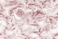 Borwn Marble Texture with White background Royalty Free Stock Photo