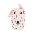Borzoi, cute dog avatar. Russian hunting sighthound, canine head portrait. Funny purebred puppy muzzle. Doggy, pup face