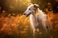 Borzoi dog standing in meadow field surrounded by vibrant wildflowers and grass on sunny day ai generated Royalty Free Stock Photo