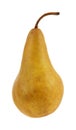 Bosc pear