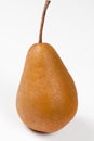 Bosc Pear Royalty Free Stock Photo