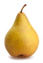 Bosc pear