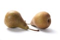 Bosc Pears Royalty Free Stock Photo