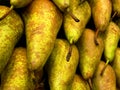 Bosc Pears Royalty Free Stock Photo