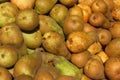 Bosc Pears Royalty Free Stock Photo